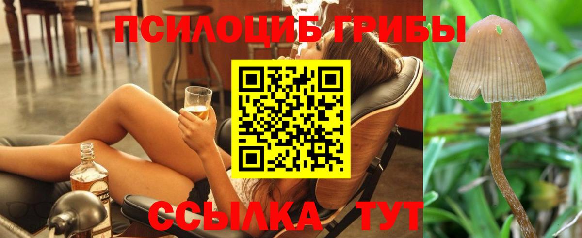 Галлюциногенные грибы GOLDEN TEACHER  Вход с VPN  Липецк 